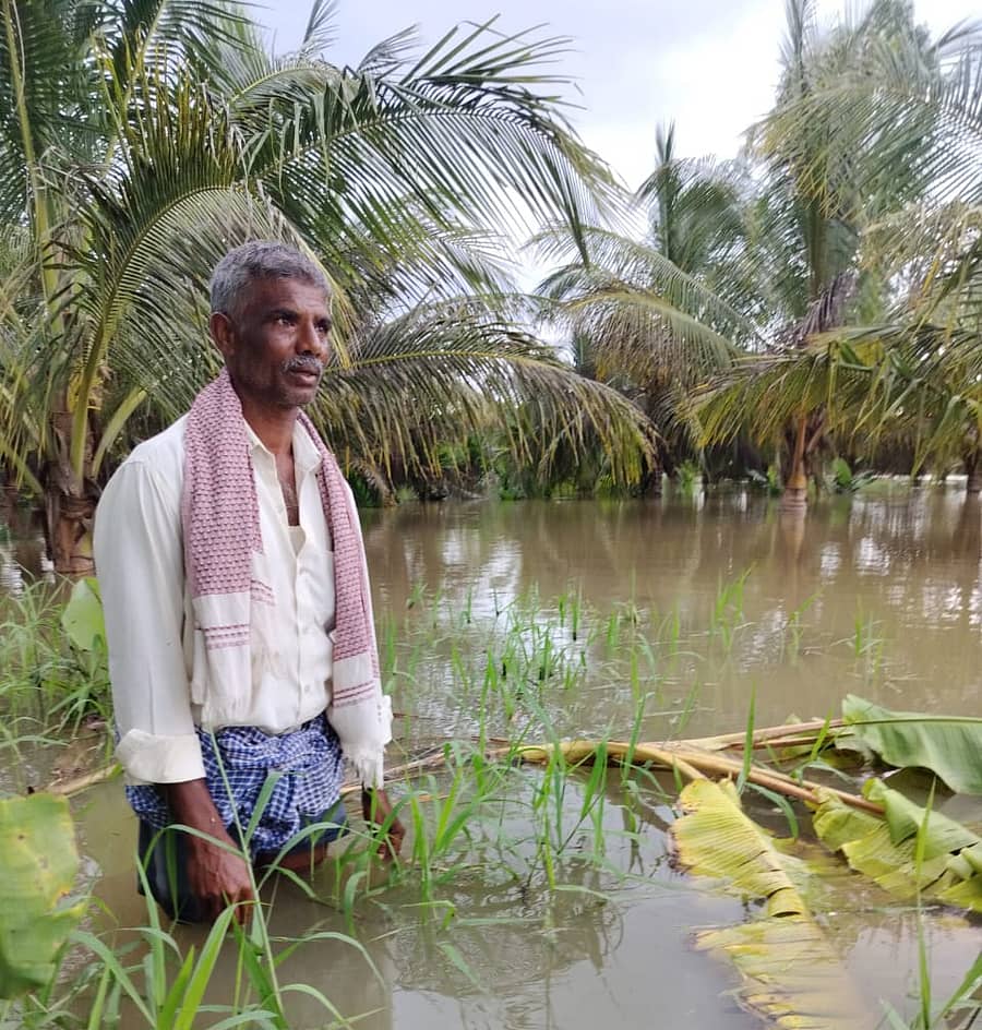ಕೆ.ಆರ್.ಪೇಟೆ ತಾಲ್ಲೂಕಿನಲ್ಲಿ ಹೇಮಾವತಿ ನದಿಯ ನೀರು ತೆಂಗು ಮತ್ತು ಬಾಳೆ ತೋಟಕ್ಕೆ ನುಗ್ಗಿದ್ದ ದೃಶ್ಯ
