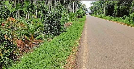 <div class="paragraphs"><p>ನಿಟ್ಟೂರು- ಹೊಸಕೆರೆ ರಸ್ತೆ ಒತ್ತುವರಿಯಾಗಿದೆ</p></div><div class="paragraphs"></div><div class="paragraphs"><p><br></p></div>