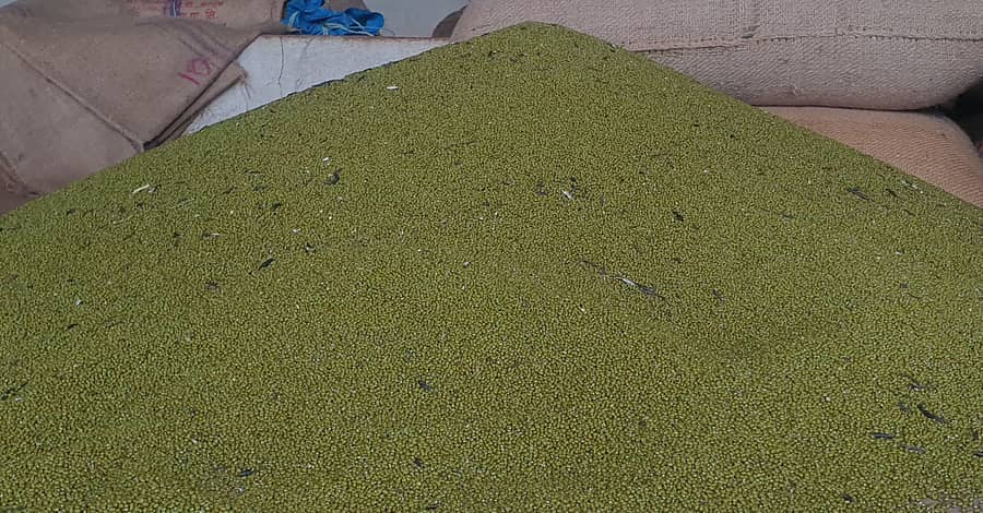 ಹೆಸರುಕಾಳು