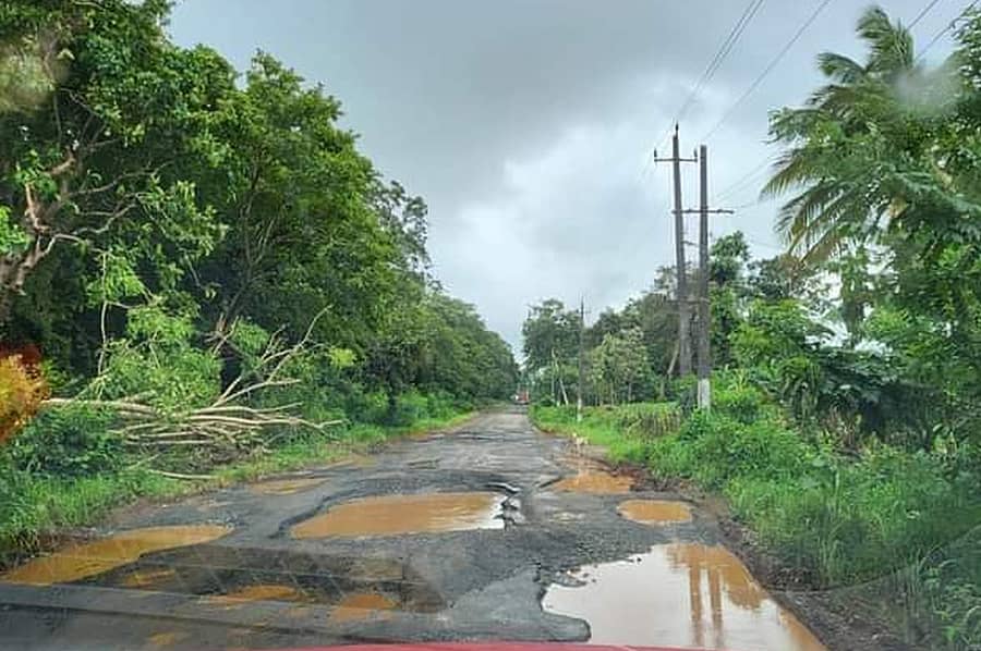 ಆಳಂದ ತಾಲ್ಲೂಕಿನ ನಿಂಬರ್ಗಾ–ನಿಂಬಾಳ ಜಿಲ್ಲಾ ರಸ್ತೆಯ ತುಂಬ ತಗ್ಗುಗಳು ತುಂಬಿರುವುದು