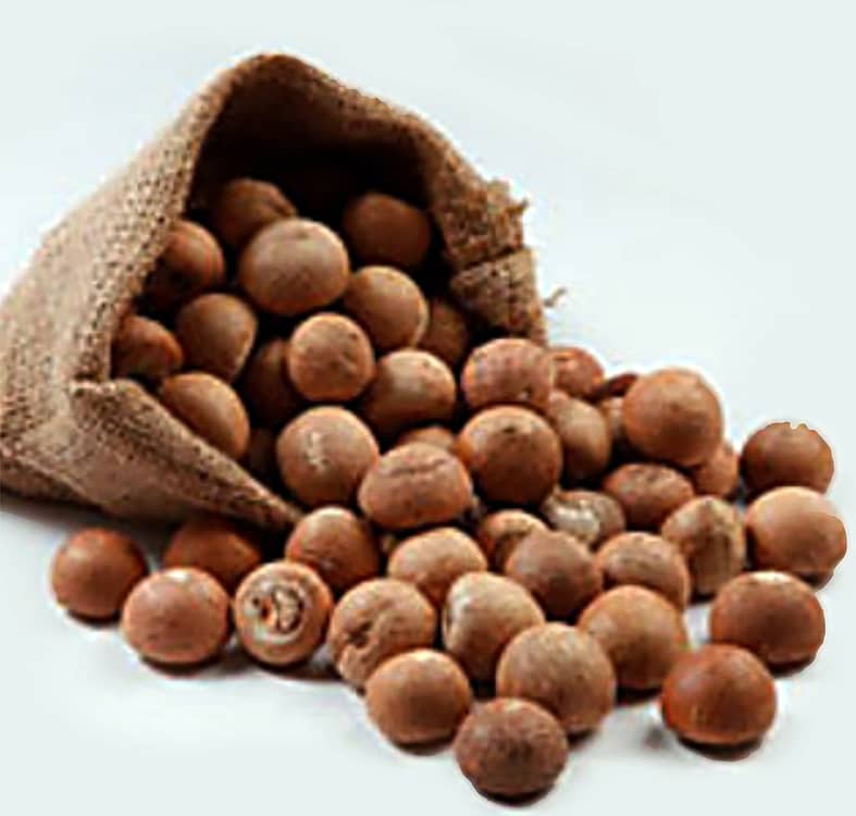 ಸಾಂಕೇತಿಕ ಚಿತ್ರ