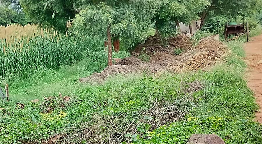 ರಾಘಾಪುರ ಹತ್ತಿರ ಮಲಪ್ರಭಾ ಎಡದಂಡೆ ಕಾಲುವೆ ತಿಪ್ಪೆಗುಂಡಿಯಾಗಿರುವುದು