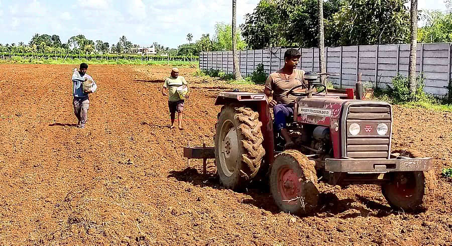 ವಿಜಯಪುರ ಹೋಬಳಿ ದೊಡ್ಡಮುದ್ದೇನಹಳ್ಳಿಯ ಬಳಿ ರೈತರು ರಾಗಿ ಬಿತ್ತನೆ ಮಾಡುತ್ತಿರುವುದು