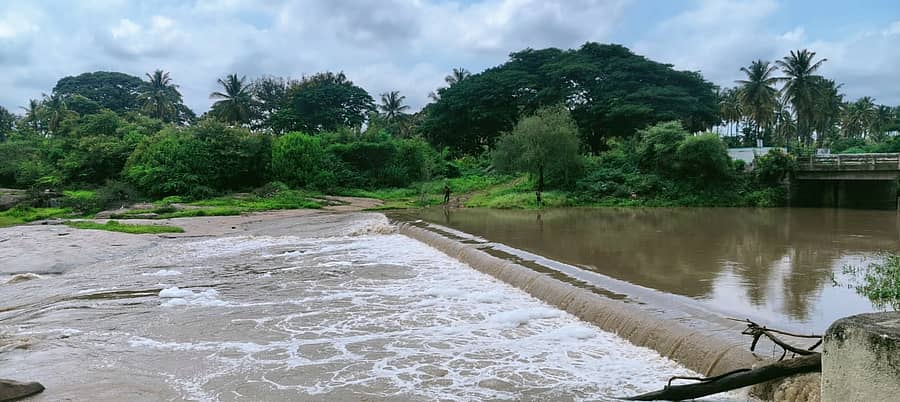 ಉತ್ತಮವಾಗಿ ಸುರಿದ ಮಳೆಗೆ ಜೀವಕಳೆ ಪಡೆದ ವೇದಾವತಿ ನದಿ