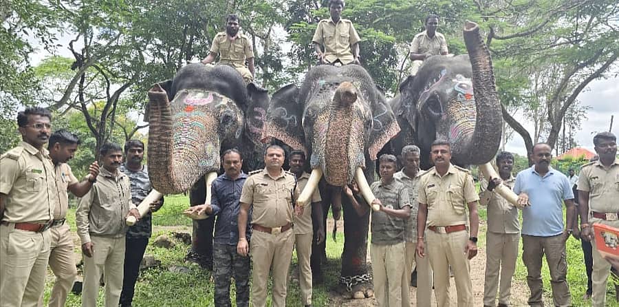 ಕುಶಾಲನಗರ ಸಮೀಪದ ದುಬಾರೆ ಸಾಕಾನೆ ಶಿಬಿರದಿಂದ ವಿಶ್ವವಿಖ್ಯಾತ ಮೈಸೂರು ದಸರಾ ಮಹೋತ್ಸವದ ಗಜಪಯಣಕ್ಕೆ ಮಂಗಳವಾರ ಮೂರು ಆನೆಗಳನ್ನು ಬೀಳ್ಕೊಡಲಾಯಿತು