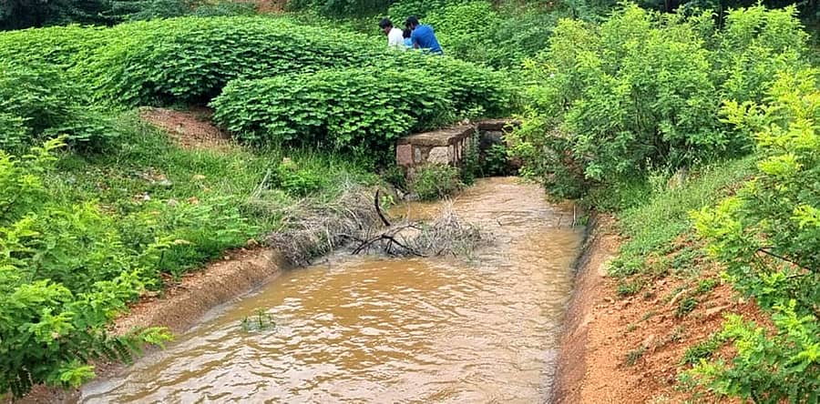 ಕುಷ್ಟಗಿ ತಾಲ್ಲೂಕು ನಿಡಶೇಸಿ ಕೆರೆಯ ನೀರು ವ್ಯರ್ಥವಾಗುತ್ತಿರುವುದು