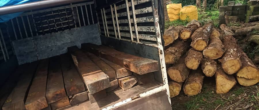 ಸೋಮವಾರಪೇಟೆ ಅರಣ್ಯ ಇಲಾಖೆಯ ಅಧಿಕಾರಿಗಳು ಬೀಟೆ ಮರದ ನಾಟಗಳೊಂದಿಗೆ ವಾಹನವನ್ನು ವಶಪಡಿಸಿಕೊಳ್ಳಲಾಗಿದೆ.