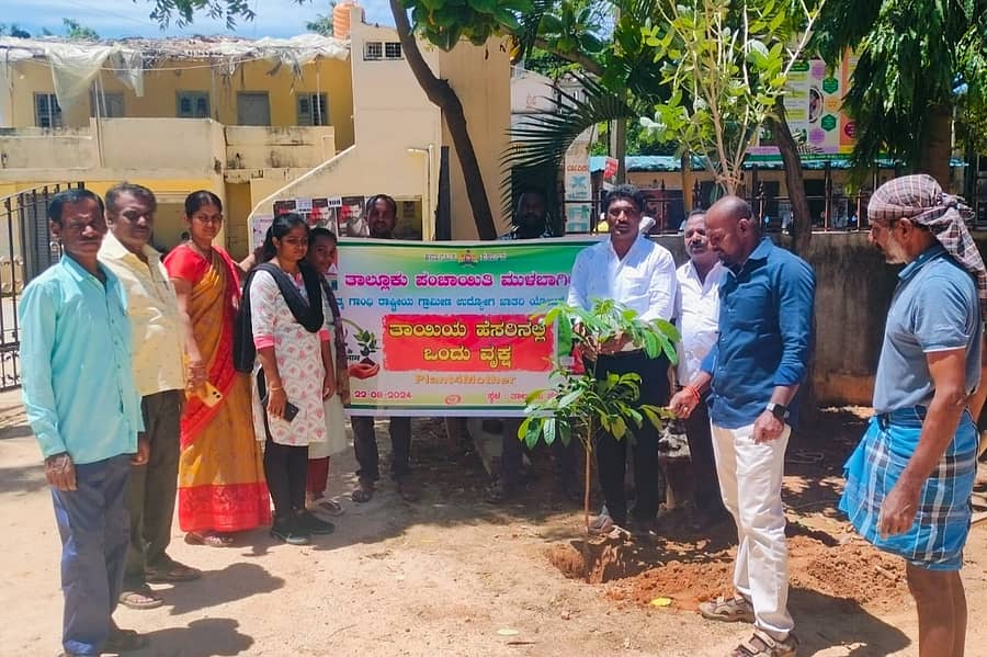 ತಾಲ್ಲೂಕು ಪಂಚಾಯಿತಿ ಆವರಣದಲ್ಲಿ ಗುರುವಾರ ಸಸಿ ನೆಡುವ ಮೂಲಕ ಅಧಿಕಾರಿಗಳು ‘ತಾಯಿಯ ಹೆಸರಿನಲ್ಲಿ ಒಂದು ವೃಕ್ಷ’ ಅಭಿಯಾನಕ್ಕೆ ಚಾಲನೆ ನೀಡಿದರು