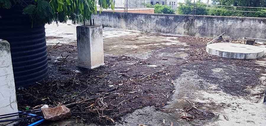 ಕುಷ್ಟಗಿ ಮಿನಿ ವಿಧಾನಸೌಧ ಕಟ್ಟಡದ ಚಾವಣಿ ತಿಪ್ಪೆಯಂತಾಗಿ ಮಳೆ ನೀರು ಸಂಗ್ರಹಗೊಂಡಿದ್ದು ಶುಕ್ರವಾರ ಕಂಡುಬಂದಿತು