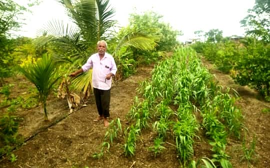 ರೈತ ಪರಮೇಶ್ವರಪ್ಪ ಜಂತ್ಲಿ ಅವರು ತಮ್ಮ ತೋಟದಲ್ಲಿ ಬೆಳೆದ ಬೆಳೆಗಳೊಂದಿಗೆ.