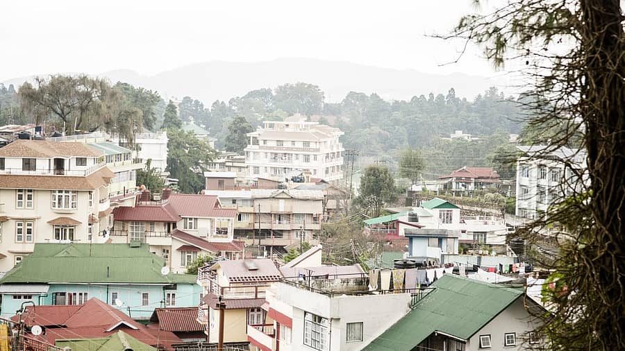 <div class="paragraphs"><p>ಪ್ರಾತಿನಿಧಿಕ ಚಿತ್ರ</p></div>