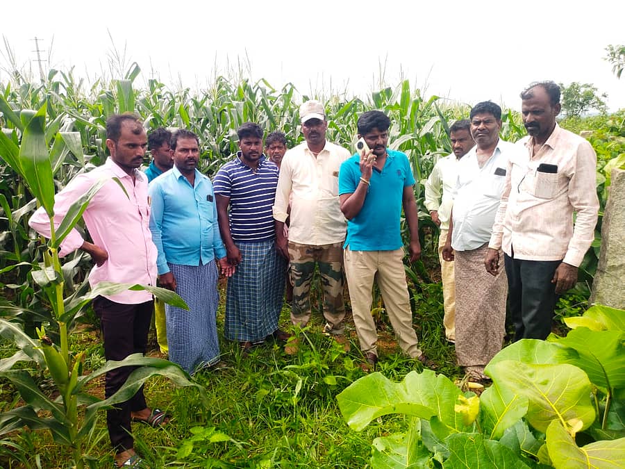 ಸಾಸ್ವೆಹಳ್ಳಿ ಸಮೀಪದ ರಾಂಪುರ ಹೊರವಲಯದ ಜಮೀನಿನಲ್ಲಿ ಚಿರತೆ ದಾಳಿ ನಡೆಸಿದ ಜಾಗ ಪರಿಶೀಲಿಸುತ್ತಿರುವ ಅರಣ್ಯ ಅಧಿಕಾರಿಗಳು ಹಾಗೂ ಪಂಚಾಯಿತಿ ಸಿಬ್ಬಂದಿ