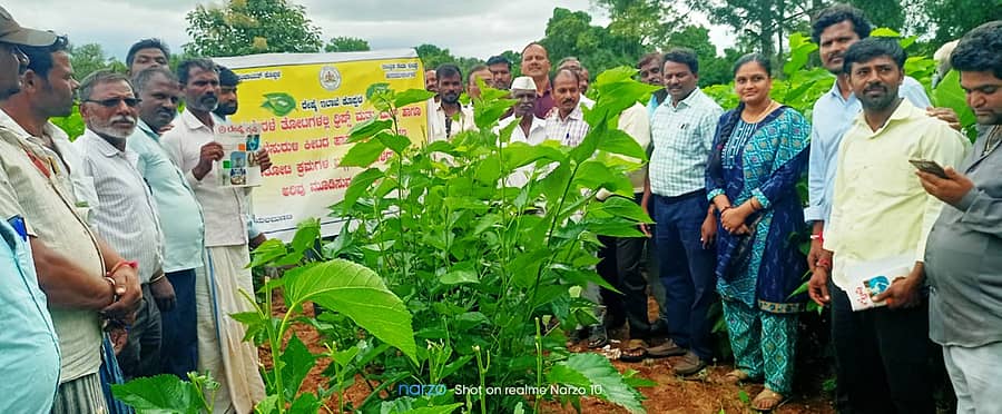 ಕುಷ್ಟಗಿ ತಾಲ್ಲೂಕು ಯಲಬುಣಚಿಯಲ್ಲಿ ಹಿಪ್ಪುನೇರಳೆ ತಾಕು ನಿರ್ವಹಣೆ ಕುರಿತ ಪ್ರಾತ್ಯಕ್ಷಿಕೆಯಲ್ಲಿ ಅಧಿಕಾರಿಗಳು, ರೈತರು ಪಾಲ್ಗೊಂಡಿದ್ದರು