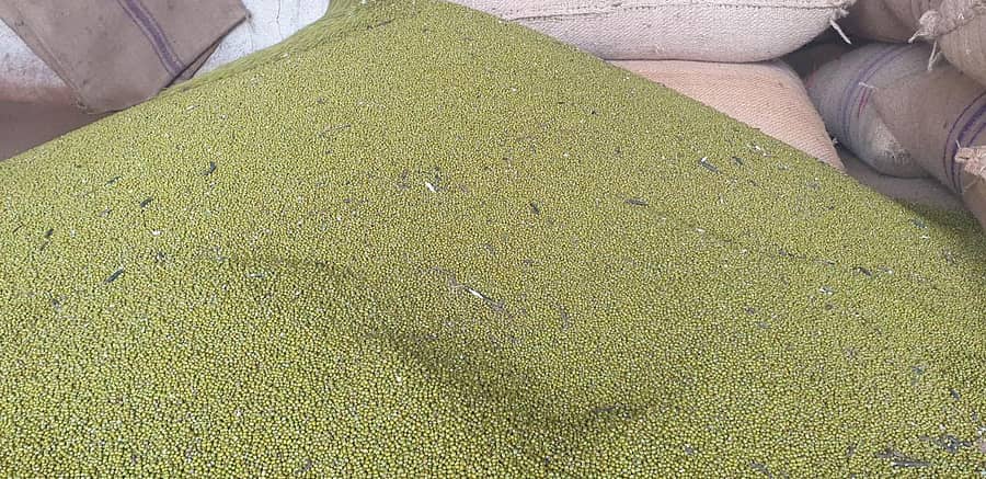 ಹೆಸರುಕಾಳು