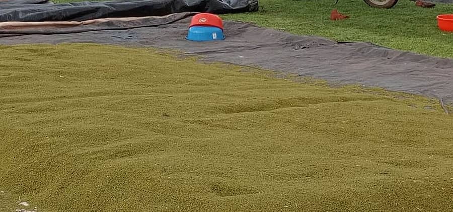 <div class="paragraphs"><p>ಸಾಂದರ್ಭಿಕ ಚಿತ್ರ</p></div>