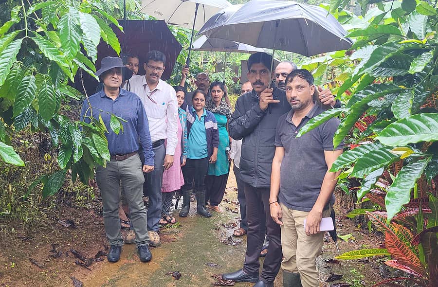 ಗೋಣಿಕೊಪ್ಪಲು ಬಳಿಯ ಶ್ರೀಮಂಗಲ, ಹುದಿಕೇರಿ. ಬಿರುನಾಣಿ ಮೊದಲಾದ ಕಾಫಿ ತೋಟಗಳಿಗೆ ಬೆಂಗಳೂರಿನ ಕಾಫಿ ಮಂಡಳಿ ಜಂಟಿ ನಿರ್ದೇಶಕ ಪಾರ್ಥ ಪ್ರಧಾನ್ ಚೌಧರಿ ಅವರು ಅತಿವೃಷ್ಟಿ ಬೆಳೆಹಾನಿ ಹಿನ್ನೆಲೆ ದಕ್ಷಿಣ ಕೊಡಗಿನ ಕಾಫಿ ತೋಟಗಳಿಗೆ ಭೇಟಿ ನೀಡಿ ಪರಿಶೀಲಿಸಿದರು