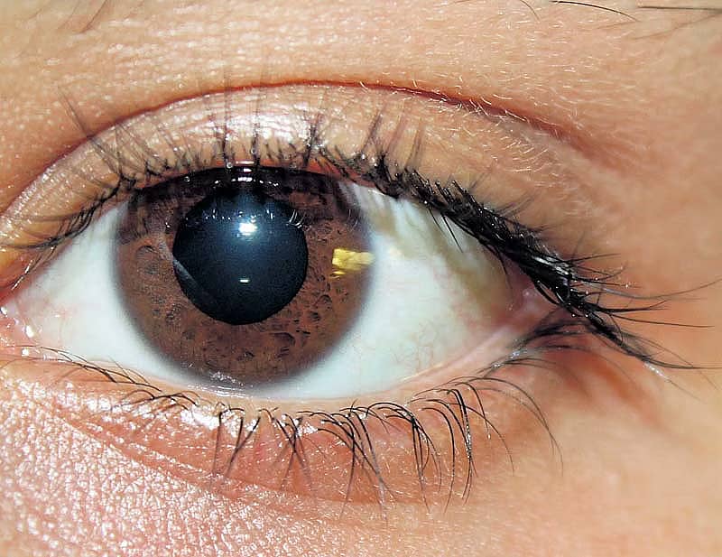 <div class="paragraphs"><p>ಕಣ್ಣು</p></div>