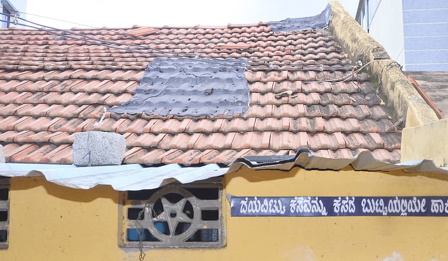 ಸಾಂದರ್ಭಿಕ ಚಿತ್ರ