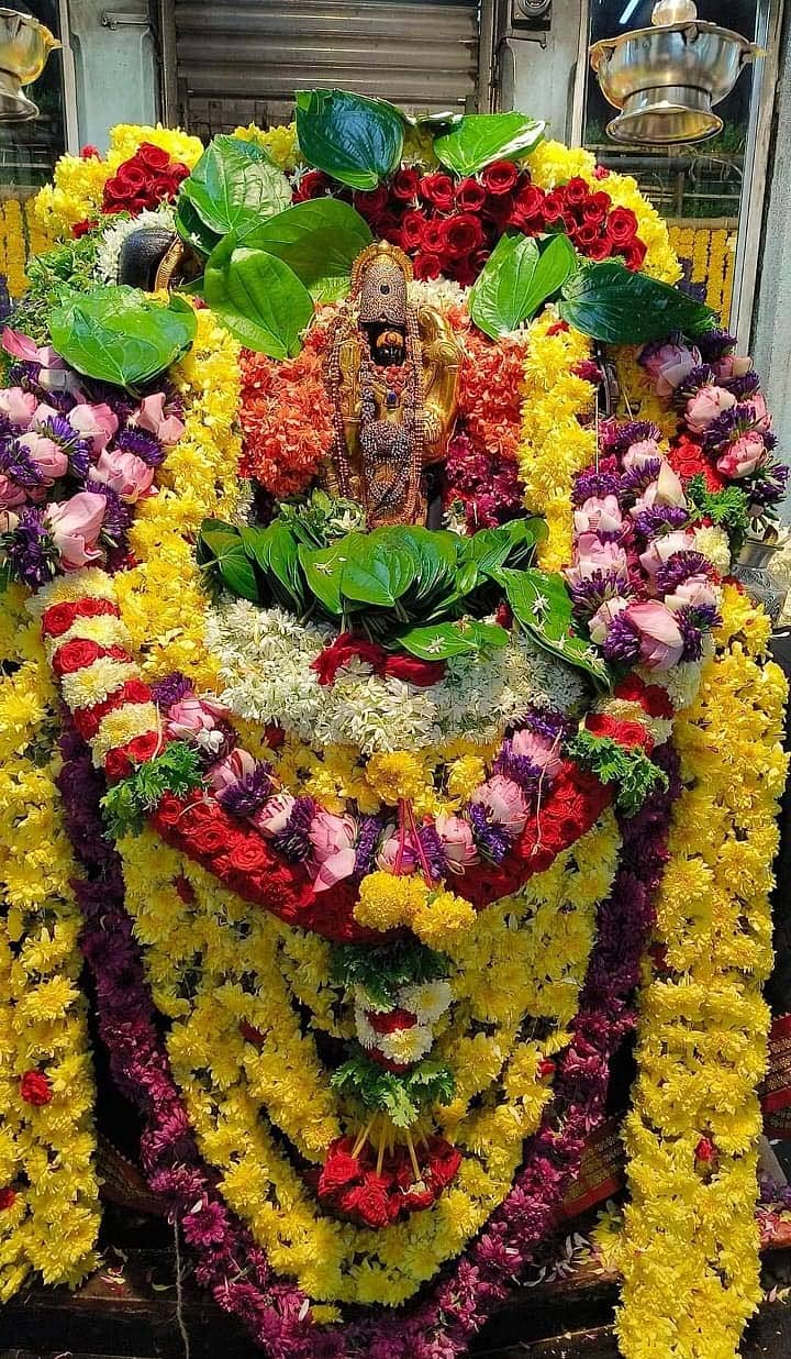 ಶನೈಶ್ಚರ ಮೂಲ ವಿಗ್ರಹಕ್ಕೆ ವಿಶೇಷ ಅಲಂಕಾರ ಮಾಡಲಾಗಿತ್ತು