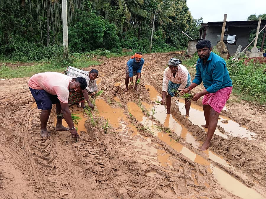 ಸಾಸ್ವೆಹಳ್ಳಿ ಸಮೀಪದ ಕಮ್ಮಾರಗಟ್ಟೆ ಹೆಳವನಕಟ್ಟೆ ಗಿರಿಯಮ್ಮ ಐಕ್ಯಸ್ಥಳ ಮಾರ್ಗದ ರಸ್ತೆಯು ಕೆಸರು ಗದ್ದೆಯಾಗಿದೆ ಎಂದು ಆರೋಪಿಸಿ, ರಸ್ತೆಯಲ್ಲೇ ನಾಟಿ ಮಾಡುವ ಮೂಲಕ ಪ್ರತಿಭಟಿಸಿದ ಗ್ರಾಮಸ್ಥರು