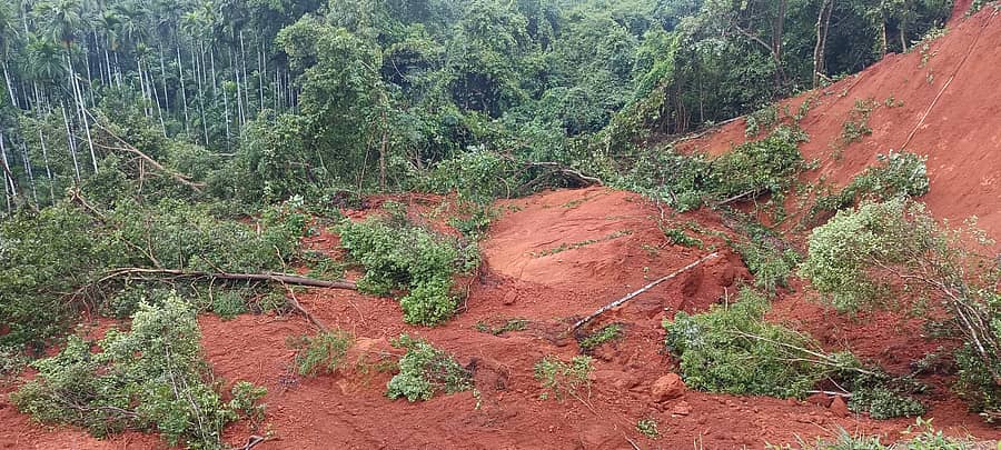 ಪುತ್ತೂರು ಪೇಟೆಯ ರಾಜಕಾಲುವೆ ಸಹಿತ ಹಲವು ಉಪತೋಡುಗಳ ಮಳೆ ನೀರು ಹರಿದು ಹೋಗುವ ಬೆದ್ರಾಳ ತೋಡಿಗೆ ಶನಿವಾರ ನಸುಕಿನ ವೇಳೆ ಗುಡ್ಡ ಕುಸಿದು ಪಕ್ಕದ ತೋಟಗಳಿಗೆ ನೀರು ನುಗ್ಗಿದೆ