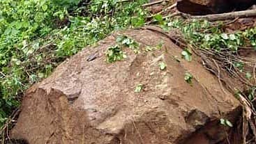 <div class="paragraphs"><p>ಪ್ರಾತಿನಿಧಿಕ ಚಿತ್ರ</p></div>