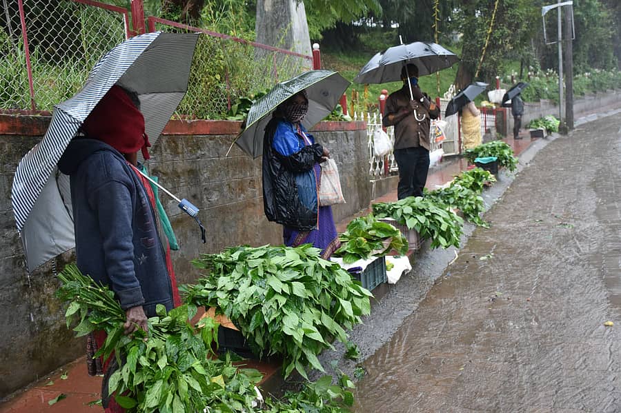 ಕಕ್ಕಡ ಪದಿನೆಟ್ ಅಂಗವಾಗಿ ಮಡಿಕೇರಿಯಲ್ಲಿ ಆಟಿ ಸೊಪ್ಪು ಮಾರಾಟ ಮಾಡಲಾಯಿತು (ಸಂಗ್ರಹ ಚಿತ್ರ)