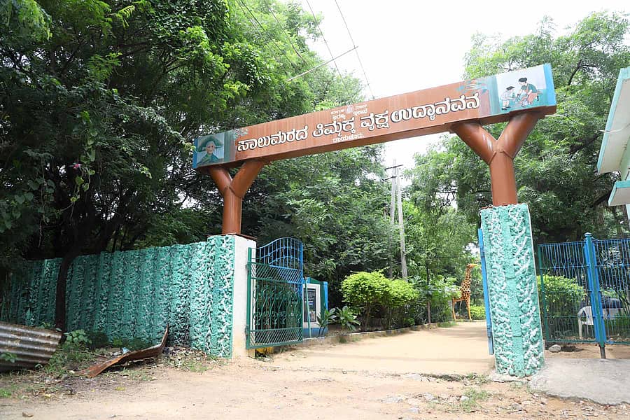 ರಾಯಚೂರಿನ ಮಂತ್ರಾಲಯ ರಸ್ತೆಯಲ್ಲಿರುವ ಸಾಲು ಮರದ ತಿಮ್ಮಕ್ಕ ಉದ್ಯಾನದ ಪ್ರವೇಶ ದ್ವಾರ /ಚಿತ್ರ: ಶ್ರೀನಿವಾಸ ಇನಾಮದಾರ್