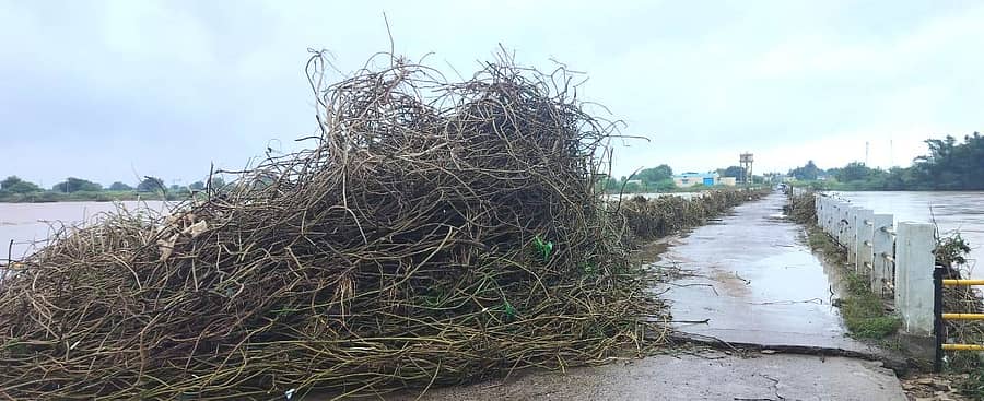 ಸೇಡಂ ತಾಲ್ಲೂಕು ಬಿಬ್ಬಳ್ಳಿ ಸೇತುವೆ ಮೇಲೆ ಕಾಗಿಣಾ ನದಿಗೆ ಹರಿದು ಬಂದ್ ರಾಶಿಗಟ್ಟಲೇ ಕಸ