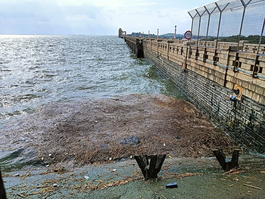 <div class="paragraphs"><p>ತುಂಗಭದ್ರಾ ಅಣೆಕಟ್ಟೆಯಲ್ಲಿ ಸೋಮವಾರ ಕಂಡ ಬಂದ ಜಲರಾಶಿ </p></div>