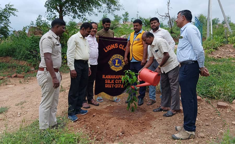 ಕನಕಪುರ ಶಿವನಹಳ್ಳಿ ಟ್ರೀ ಪಾರ್ಕಿನಲ್ಲಿ ಲೈನ್ಸ್ ಕ್ಲಬ್ ನೇಗಿಲಯೋಗಿ ಹಾಗೂ ಅರಣ್ಯ ಇಲಾಖೆ ಸಹಯೋಗದಲ್ಲಿ ಗಿಡ ನೀಡುತ್ತಿರುವುದು ಸಂಘ-ಸಂಸ್ಥೆಯವರು ಅಧಿಕಾರಿಗಳು ಉಪಸ್ಥಿತರಿದ್ದರು