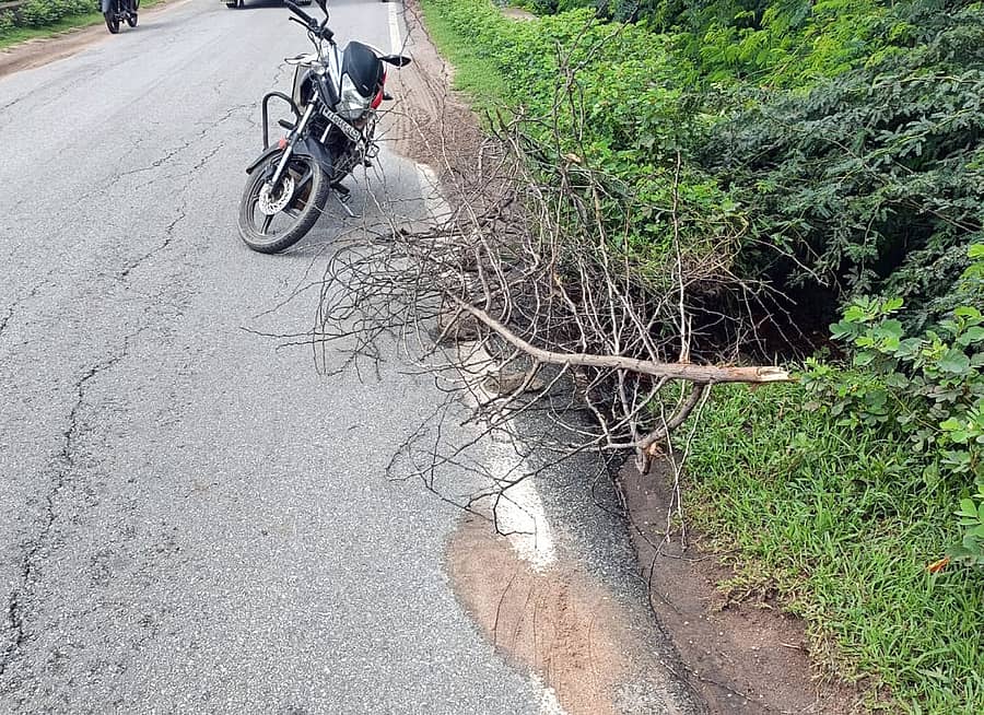 ಲಿಂಗಸುಗೂರು ತಾಲ್ಲೂಕಿನ ಹೊನ್ನಳ್ಳಿ ಬಳಿಯ ರಾಷ್ಟ್ರೀಯ ಹೆದ್ದಾರಿಯ ಮೊರೆಪ್ಪನ ತಗ್ಗಿಗೆ ನಿರ್ಮಿಸಿದ ಸೇತುವೆ ಮೇಲ್ಭಾಗದಲ್ಲಿ ರಸ್ತೆ ಕುಸಿದಿದ್ದು, ಸುರಕ್ಷತೆಗೆ ಮುಳ್ಳು ಬೇಲಿ ಹಾಕಿರುವುದು