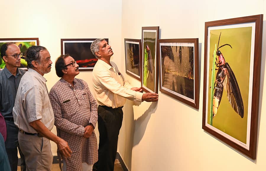 ಮಿಂಚು ಹುಳುಗಳ ಛಾಯಾಚಿತ್ರಗಳನ್ನು (ಎಡದಿಂದ) ಅಕ್ಷಯ್ ಕುಮಾರ್ ಚಕ್ರವರ್ತಿ, ಅನುರೂಪ್ ಗೋಹೇನ್, ಬಿ.ಎಲ್. ಶಂಕರ್, ಈಶ್ವರ್ ಪ್ರಸಾದ್ ವೀಕ್ಷಿಸಿದರು ಪ್ರಜಾವಾಣಿ ಚಿತ್ರ