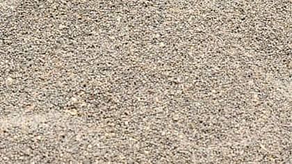 <div class="paragraphs"><p>ಉದ್ದಿನ ಕಾಳು(ಪ್ರಾತಿನಿಧಿಕ ಚಿತ್ರ)</p></div>