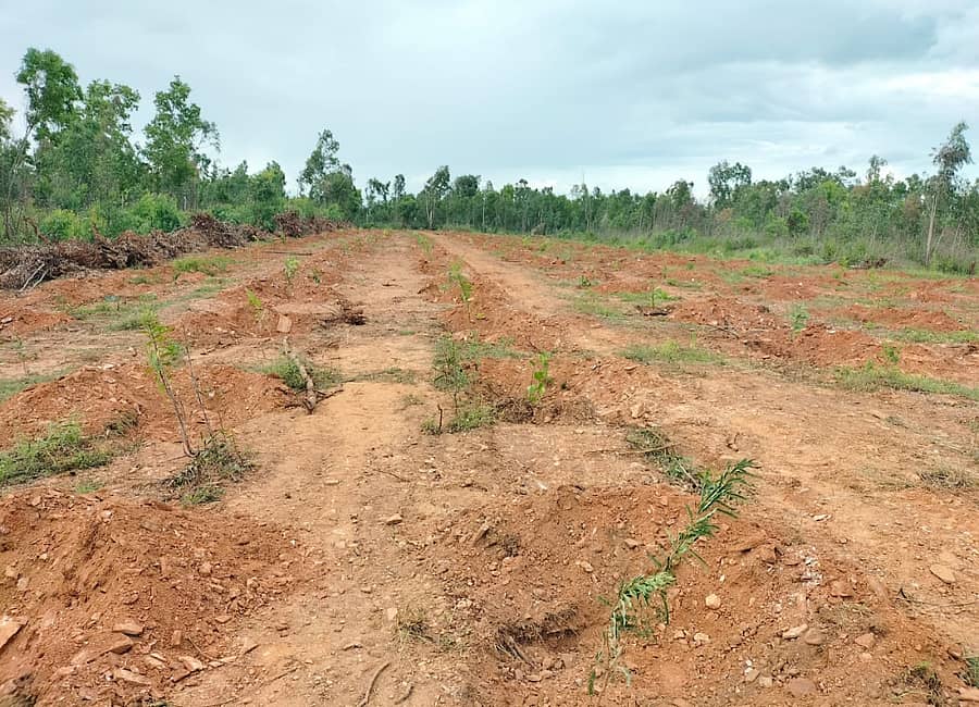 ಗುಬ್ಬಿ ತಾಲ್ಲೂಕಿನ ಬಿಳೆನಂದಿ ಅರಣ್ಯ ಪ್ರದೇಶದಲ್ಲಿ ಸಾಮಾಜಿಕ ಅರಣ್ಯ ಇಲಾಖೆಯಿಂದ ಸಿಸಿ ನಡೆಲಾಗಿದೆ