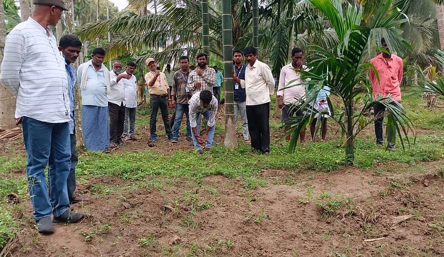 ಎಚ್.ಡಿ.ಕೋಟೆ ಪಟ್ಟಣದ ಸಿದ್ದಪ್ಪಾಜಿ ರಸ್ತೆಯ ನಿವಾಸಿಗಳಿಗೆ ಸೇರಿದ ಸ್ಮಶಾನದ ನಿವೇಶನವನ್ನು ಉಪ ವಿಭಾಗಾಧಿಕಾರಿ ವಿಜಯಕುಮಾರ್ ನೇತೃತ್ವದಲ್ಲಿ ಗುರುವಾರ ಗುರುತಿಸಲಾಯಿತು