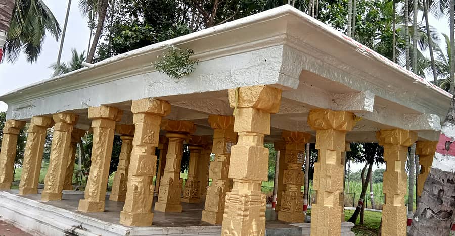 ಶ್ರೀರಂಗಪಟ್ಟಣ ತಾಲ್ಲೂಕಿನ ಕಿರಂಗೂರು ವೃತ್ತದ ಬಳಿಯ ದಸರಾ ಬನ್ನಿ ಮಂಟಪದ ಮೇಲೆ ಗಿಡ ಬೆಳೆದಿರುವುದು