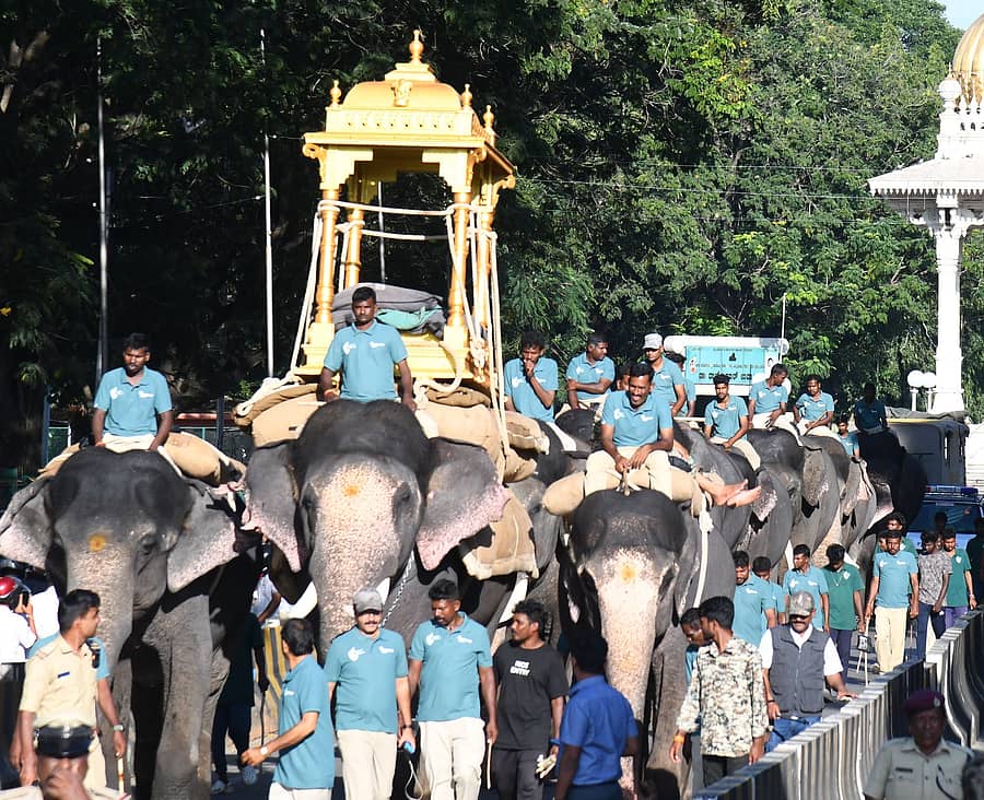 <div class="paragraphs"><p>ಮೈಸೂರಿನಲ್ಲಿ ಶನಿವಾರ ಸಂಜೆ ನಡೆದ ದಸರಾ ಜಂಬೂಸವಾರಿ ಮೆರವಣಿಗೆಯ ತಾಲೀಮಿನಲ್ಲಿ ‘ಮಹೇಂದ್ರ’ ಆನೆಗೆ ಮರದ ಅಂಬಾರಿ ಕಟ್ಟಲಾಗಿತ್ತು</p></div>