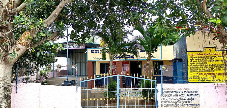 ವಿಜಯಪುರ ಹೋಬಳಿ ಹೊಲೇರಹಳ್ಳಿ ಸರ್ಕಾರಿ ಶಾಲೆಗೆ ಹಸಿರು ಹೊದಿಸಿರುವ ಮರಗಳು