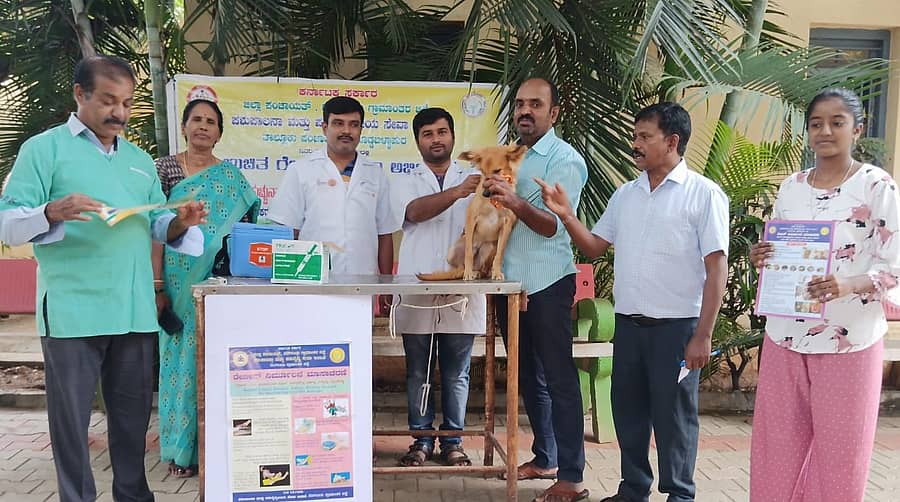 ದೊಡ್ಡಬಳ್ಳಾಪುರ ಪಶು ಆಸ್ಪತ್ರೆ ಆವರಣದಲ್ಲಿ ವಿಶ್ವ ರೇಬಿಸ್ ದಿನಾಚರಣೆ ಅಂಗವಾಗಿ ಶ್ವಾನಗಳಿಗೆ ಉಚಿತವಾಗಿ ರೇಬಿಸ್ ಲಸಿಕೆ ಹಾಕಲಾಯಿತು