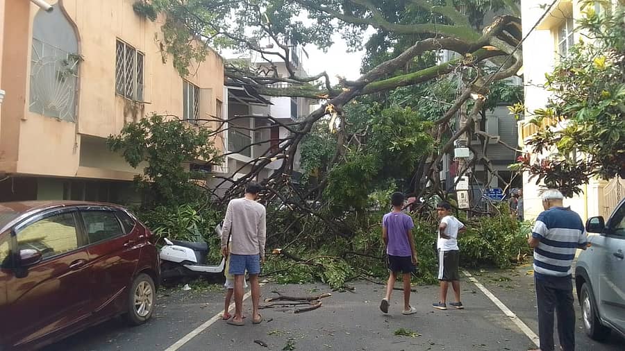 ಆರ್.ಟಿ.ನಗರದ 14ನೇ ತಿರುವು ರಸ್ತೆಯಲ್ಲಿ ಬೃಹತ್ ಮರವೊಂದು ವಾಹನದ ಮೇಲೆ ಬಿದ್ದಿರುವುದು