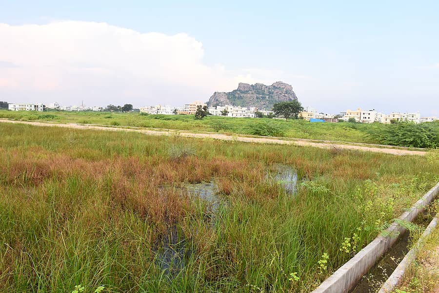 ಯಾದಗಿರಿ ನಗರದ ಆರ್ಟಿಒ ಕಚೇರಿ ಸಮೀಪ ಗಾಂಧಿ ಭವನ ನಿರ್ಮಾಣಕ್ಕೆ ಜಾಗ ಗುರುತಿಸಿರುವುದು ಪ್ರಜಾವಾಣಿ ಚಿತ್ರಗಳು: ರಾಜಕುಮಾರ ನಳ್ಳಿಕರ್