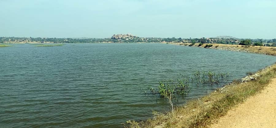 ಕೊಪ್ಪಳ ತಾಲ್ಲೂಕಿನ ಕಾಮನೂರು ಗ್ರಾಮದ ಸೌಂದರ್ಯಕ್ಕೆ ಸಾಕ್ಷಿಯಂತಿದೆ ಕೆರೆ