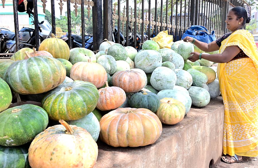 ದಸರಾ ಹಬ್ಬದ ಹಿನ್ನೆಲೆಯಲ್ಲಿ ಹುಬ್ಬಳ್ಳಿಯ ಚನ್ನಮ್ಮ ವೃತ್ತದಲ್ಲಿ ಬುಧವಾರ ರೈತ ಮಹಿಳೆಯೊಬ್ಬರು ಕುಂಬಳಕಾಯಿ, ಬೂದಕುಂಬಳಕಾಯಿ ಮಾರಾಟ ಮಾಡುತ್ತಿದ್ದು ಕಂಡುಬಂದಿತು