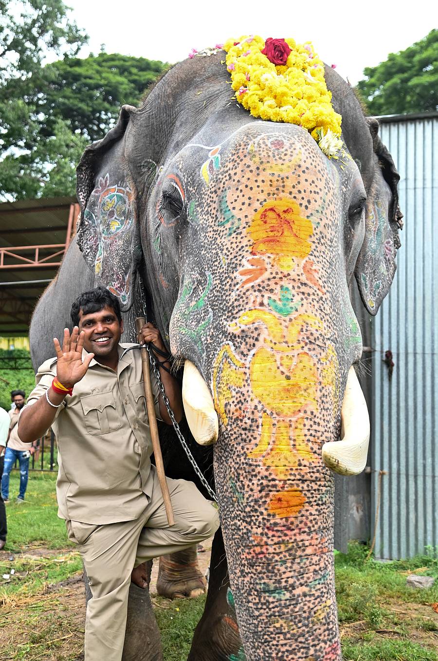 ಅಂಬಾರಿ ಹೊತ್ತ ಆನೆ ‘ಅಭಿಮನ್ಯು’ ಹಾಗೂ ಮಾವುತ ವಸಂತ ಮೈಸೂರಿಗೆ ವಿದಾಯ ಹೇಳಿದರು– ಪ್ರಜಾವಾಣಿ ಇತರ/ಅನೂಪ್ ರಾಘ.ಟಿ.