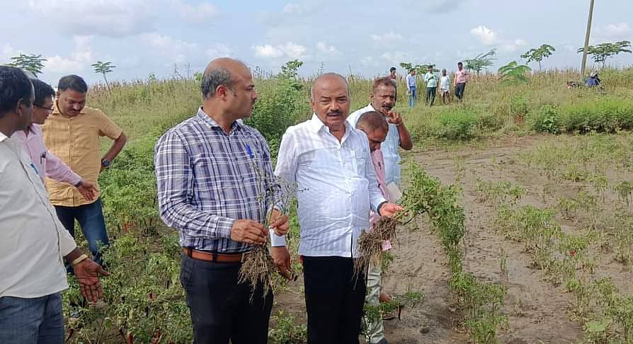 ಬೆಣ್ಷಿಹಳ್ಳ ಪ್ರವಾಹದಿಂದ ತಾಲ್ಲೂಕಿನ ಹಂಚಿನಾಳ ಗ್ರಾಮದ ಸುತ್ತಲಿನ ಜಮೀನುಗಳಿಗೆ ಶಾಸಕ ಎಮ್.ಆರ್.ಪಾಟೀಲ ಬೇಟಿ ನೀಡಿ ಪರಿಶಿಲಿಸಿದರು.