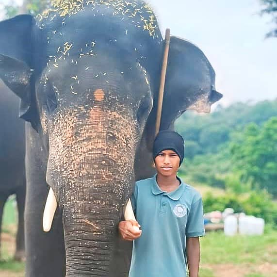 ಸಂಪತ್‌ ಆನೆಯೊಂದಿಗೆ ಕಾವಾಡಿಗ ಗೋಪಾಲ್