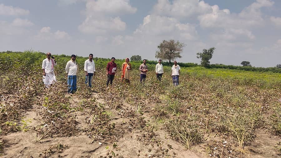 ಕುಂದಗೋಳ ತಾಲ್ಲೂಕಿನ ಚಾಕಲಬ್ಬಿ ವ್ಯಾಪ್ತಿಯಲ್ಲಿ ಬೆಳೆಹಾನಿಯನ್ನು ಅಧಿಕಾರಿಗಳು ಪರಿಶೀಲಿಸಿದರು