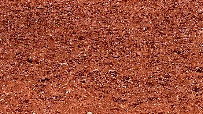 <div class="paragraphs"><p>ಜಮೀನು (ಸಾಂಕೇತಿಕ ಚಿತ್ರ )</p></div>