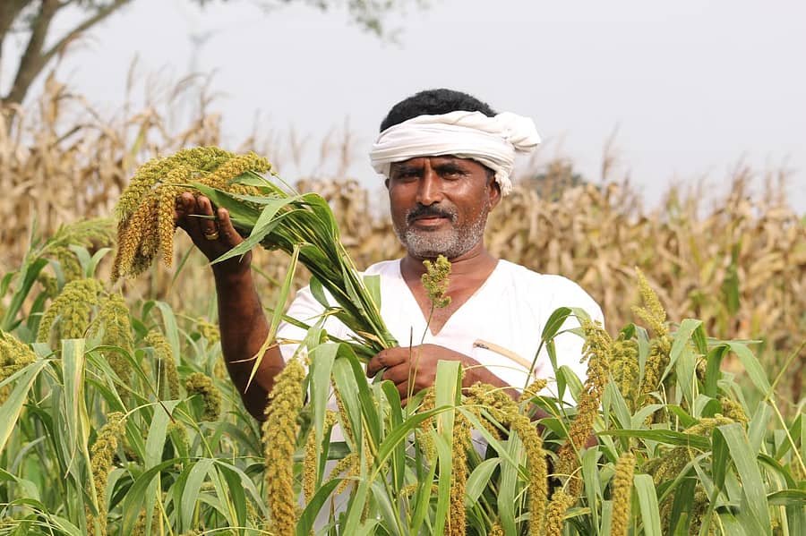 ಕುಂದಗೋಳ ತಾಲ್ಲೂಕಿನ ತೀರ್ಥ ಗ್ರಾಮದ ರೈತ ಬಸವರಾಜ ಮುಂದಿನಮನಿ ಕೊರಲೆ ಧಾನ್ಯದ ಬೆಳೆಯೊಂದಿಗೆ